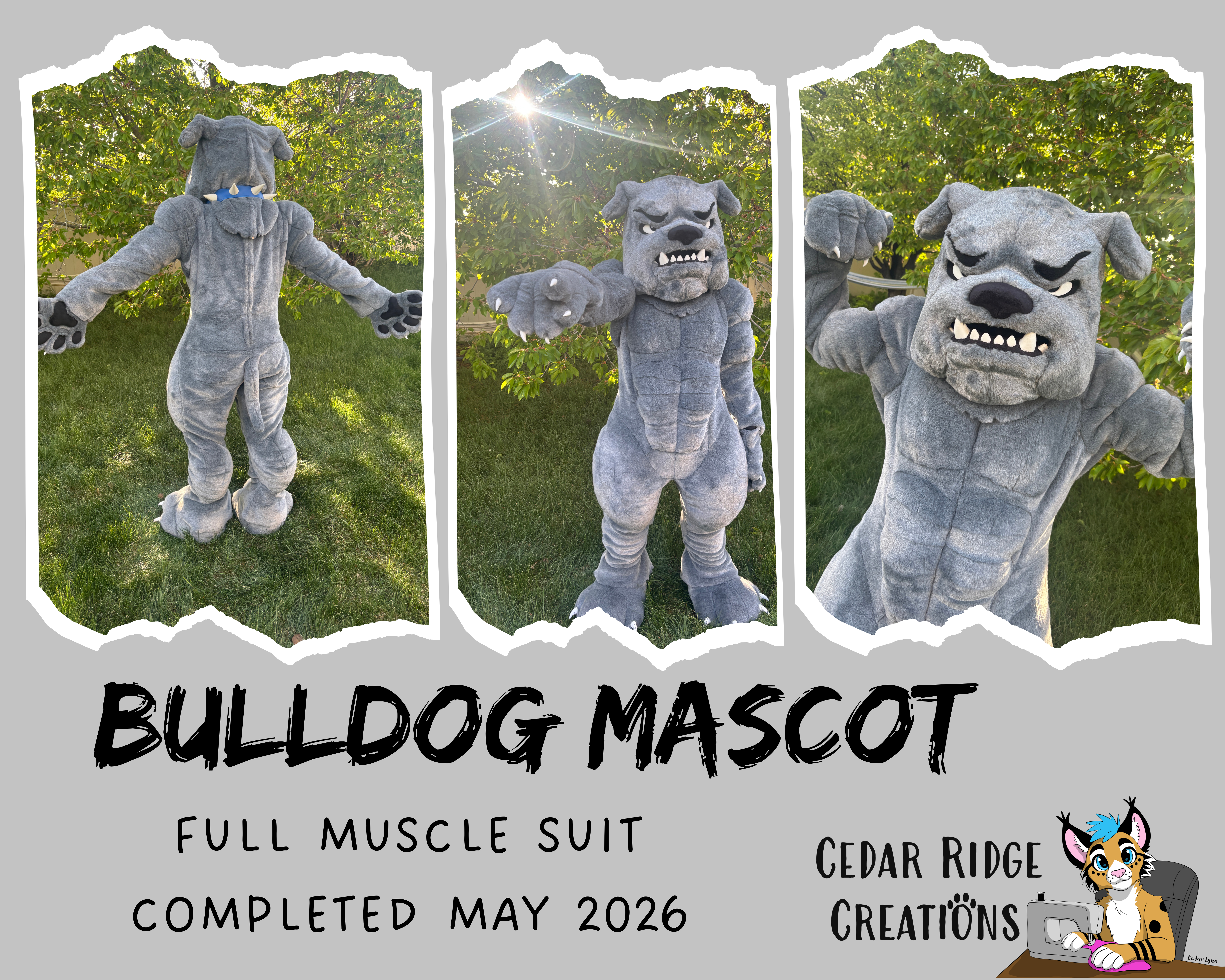Full Muscle Suit Bulldog Mascot